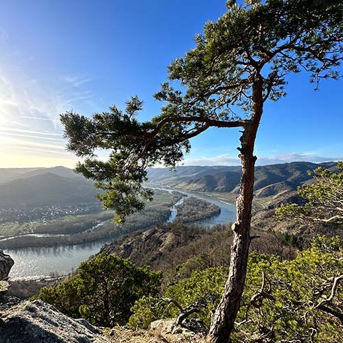 Ausblick von der Kanzel in Dürnstein auf die Donau in der Wachau