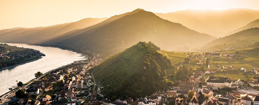 Der berühmte 1000 Eimer Berg in Spitz wird von der Nachmittagssonne im Spätsommer beleuchtet.