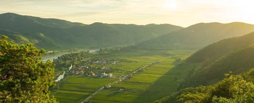 Sonnenaufgang am rechten Donauufer in der Wachau.