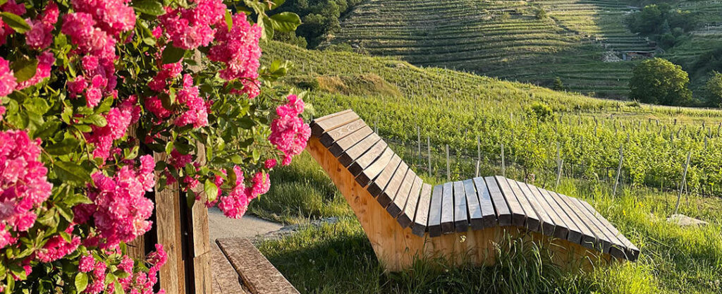 Holzliege in den Weinbergen von Spitz in der Wachau.